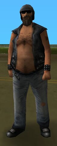 Archivo:Skin motero 1.jpg