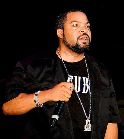 Archivo:IceCube.jpg