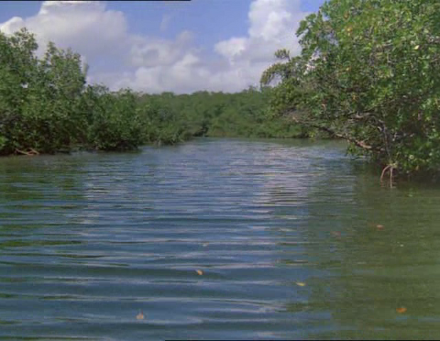 Archivo:Pantano.png