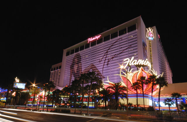 Archivo:Flamingo.jpg