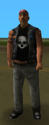 Archivo:Skin motero 2.jpg