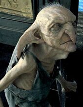 P5 Elfo Kreacher.jpg