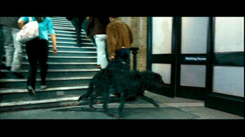P5 Sirius Black perro.gif