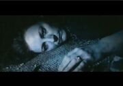 Dead Lily.jpg