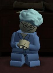 Madam Malkin Lego.jpg