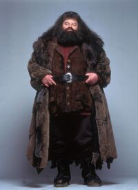 Hagrid apariencia.jpg