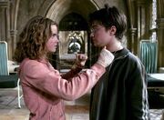 Hermionegira 01.jpg