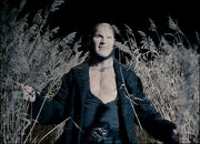 45674007 greyback416image-1-.jpg