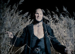 45674007 greyback416image-1-.jpg