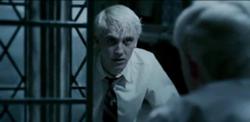 Draco en el espejo.jpg