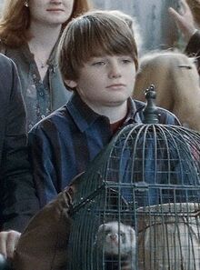 P7 Albus Potter.jpg