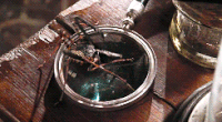 Cruciatusaraña.gif