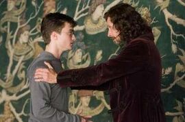 BlackTapestryHarrySirius.jpg