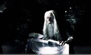DumbledoreDrinkOFDespair.jpg