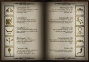 Ancient Runes Made Easy.jpg