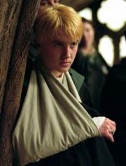 Draco lesionado.jpg