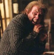 Peter Pettigrew.jpg