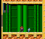 PlantBatalla