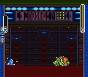 GatorBatalla.png