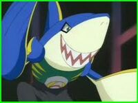 Sharkm