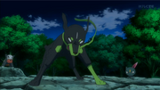 EP897 Zygarde al 10%.png
