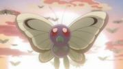 EP792 Butterfree despidiéndose.png