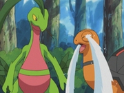 EP343 Torkoal y Grovyle.png