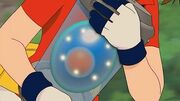P09 Huevo de Manaphy.jpg