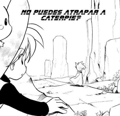 Archivo:PMS053.jpg
