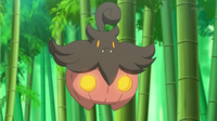 EP815 Pumpkaboo.png
