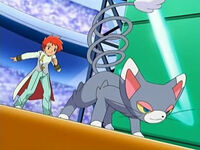 EP481 Zoey y Glameow