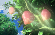 P13 Bayas.png