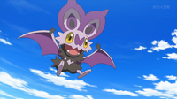 EP911 Noibat de Ash.png