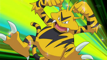 EP597 Electabuzz de Paul.png