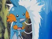 EP301 Mudkip salvando a un pequeño Mudkip.jpg