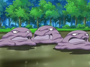 EP556 Muk en su entorno natural.png