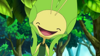 EP736 Leavanny contento.png