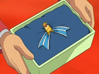 EP564 Cinta Caelestis.png