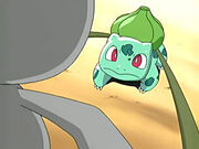 EP400 Bulbasaur asustado.jpg