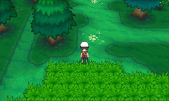 Bosque espejismo ruta 132.png