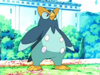 EP495 Prinplup de Kenny.png