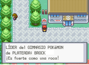 Brock Gimnasio.png
