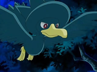 EP520 Murkrow de Polo.png
