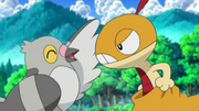 EP677 Pidove dandole la bienvenida a Scraggy.png