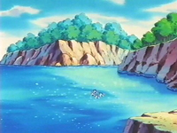EP213 Isla de los Pidgey Rechonchos-Gorditos.png