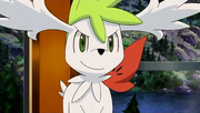 P11 Shaymin en su forma cielo dentro del tren