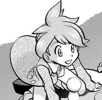 Wally ORAS Capítulos.png