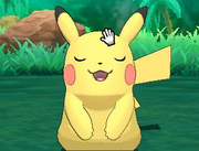 Poké Relax Caricias