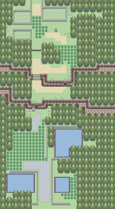 Ruta 204.png