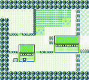 Ruta 7 Am.png